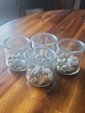Clear Glass Jars  with Natural Pebble Fill - Set of 4